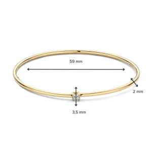 Armband geelgoud zirkonia