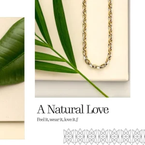 Collier bicolor