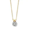 Collier bicolor briljant 0,12 crt.