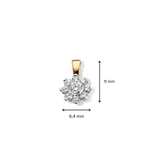 Hanger bicolor briljant 0,21 crt.