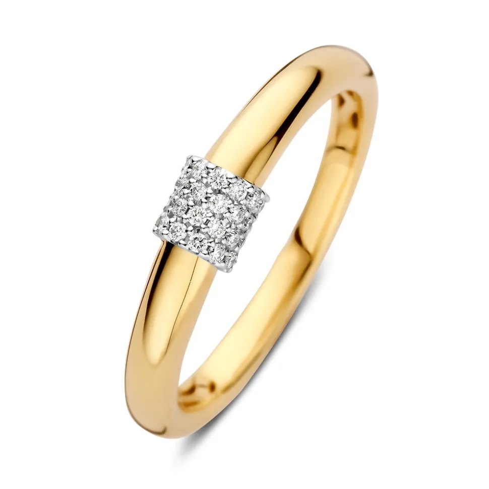ring_bicolor_briljant__cr_0-1.webp Ring bicolor briljant 0.10 crt.