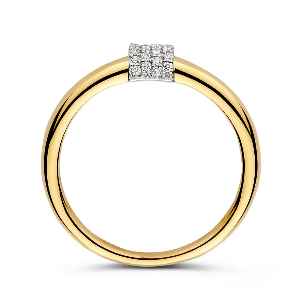 ring_bicolor_briljant__cr_1-1.webp Ring bicolor briljant 0.10 crt.
